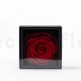 Geschenkset mit konservierten Rosen XXL Rot