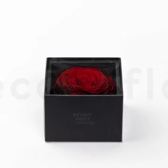Preserved XXL Rose in a Gift Box Red