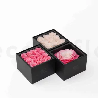 Geschenkset mit konservierten Rosen XXL Rosa