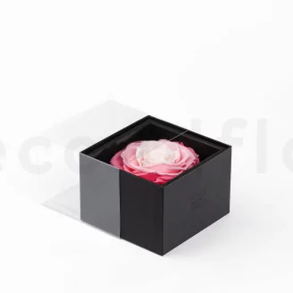 Geschenkset mit konservierten Rosen XXL Rosa