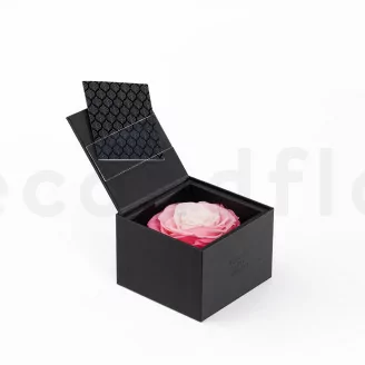 Geschenkset mit konservierten Rosen XXL Rosa