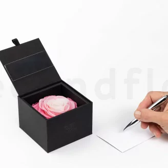 Scatola con rosa stabilizzata XXL Rosa