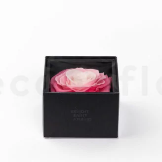 Geschenkset mit konservierten Rosen XXL Rosa