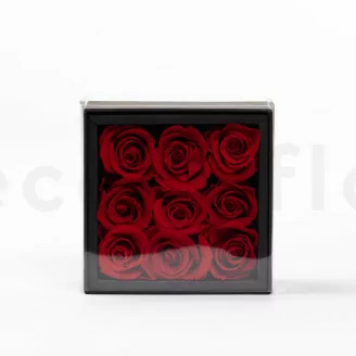 Schachtel mit 9 konservierten Rosen Rot