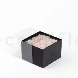 Scatola con 9 rose stabilizzate Rosa