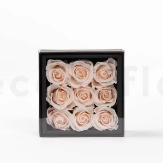 Schachtel mit 9 konservierten roten Rosa