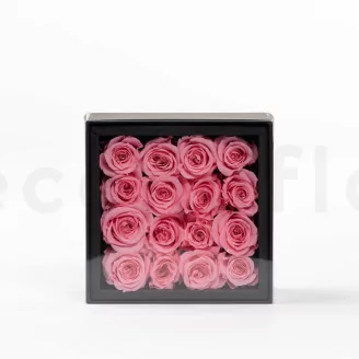 Schachtel mit 16 konservierten roten Rosa