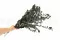 Eucalyptus Stuartiana stabilis&eacute; 17