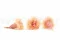 Preserved Carnation Peach & Pink (x8) 3