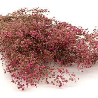Konserviertes Schleierkraut Rosa
