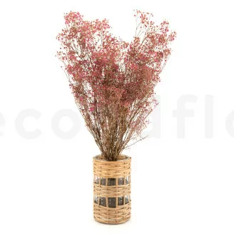 Gypsophile stabilis&eacute; Rose