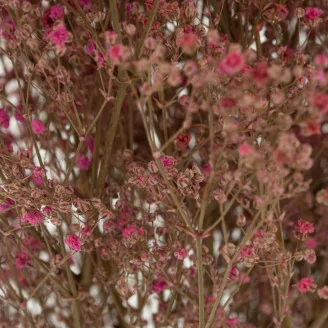 Gypsophile stabilis&eacute; Rose