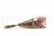 Gypsophile stabilis&eacute; Rose 10