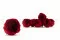 Rosa Inglese stabilizzata Rosso Scuro (x8) 1