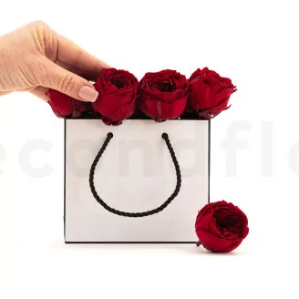 Rosa Inglese stabilizzata Rosso Scuro (x8)