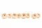 Preserved English Rose White Champagne (x8) 5
