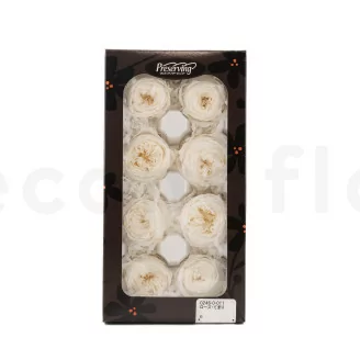 Preserved English Rose White (x8)