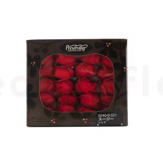 Konservierte Rosenknospe Rot (x20)