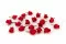 Bouton de Rose stabilis&eacute; Rouge (x20) 4