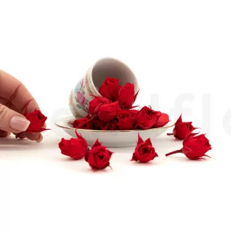 Konservierte Rosenknospe Rot (x20)