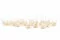 Bouton de Rose stabilis&eacute; Blanc (x20) 9