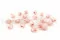 Bocciolo di rosa stabilizzata XS Rosa (x20) 4