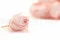 Preserved Rosebud Pink (x20) 1