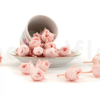 Bocciolo di rosa stabilizzata XS Rosa (x20)
