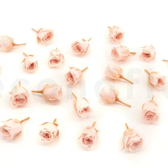 Preserved Vivian Rose Powder Pink (x24)