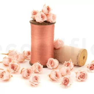 Rose Vivian stabilis&eacute;e Rose poudr&eacute; (x24)