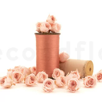 Rose Vivian stabilis&eacute;e Rose poudr&eacute; (x24)