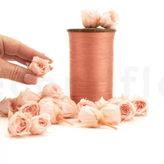 Rose Vivian stabilis&eacute;e Rose poudr&eacute; (x24)