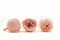 Preserved English Rose (x8) Powder Pink 2
