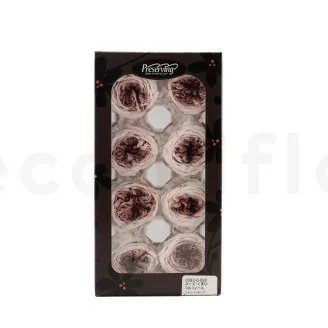 Konservierte Englische Rose Mauve (x8)