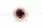 Rose Anglaise stabilis&eacute;e Mauve (x8) 7