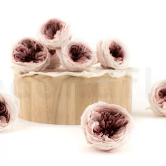 Preserved English Rose Mauve (x8)