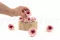 Rose Anglaise stabilis&eacute;e Rose Bicolore (x8) 6