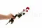 Preserved Spray Rose with 5 Heads Red 6