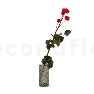 Rosa Ramificata stabilizzata a 5 Capolini Rosso