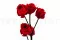 Rose Ramifi&eacute;e stabilis&eacute;e 5 T&ecirc;tes Rouge 3