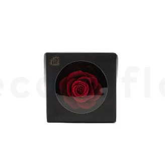 Preserved Mandala Rose XXL Tie N Dye Red