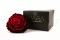 Rose stabilis&eacute;e mandala XXL Rouge D&eacute;grad&eacute; 5