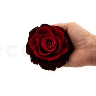 Konservierte Mandala Rose XXL Rot mit Farbverlauf