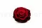 Konservierte Mandala Rose XXL Rot mit Farbverlauf 8