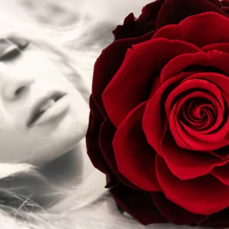 Konservierte Mandala Rose XXL Rot mit Farbverlauf