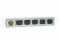 Rosa preservada XL Ocean Blue (x6) 11