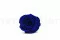 Rose stabilis&eacute;e XL Ocean Blue (x6) 7