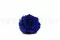 Preserved Rose XL Ocean Blue (x6) 8