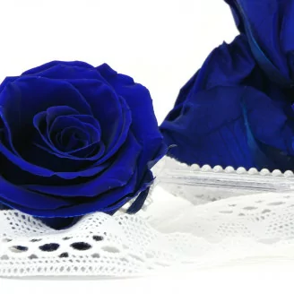 Rosa stabilizzata XL Ocean Blue (x6)