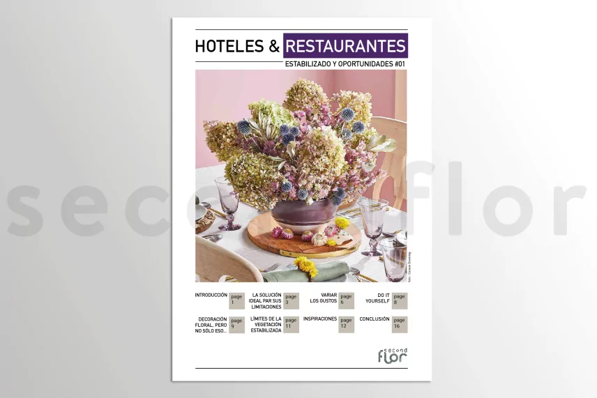 [G_ES_SF-DB-5_E]Konservierte Pflanzen & M&ouml;glichkeiten n&deg;1 - &laquo;Hotels & Restaurants&raquo;